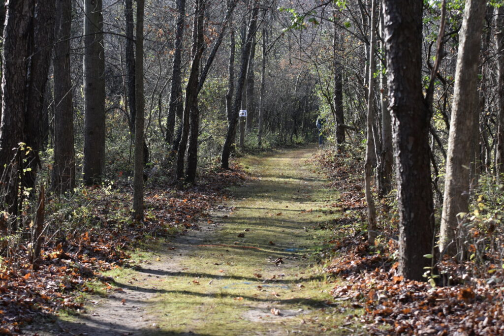 pista forestal