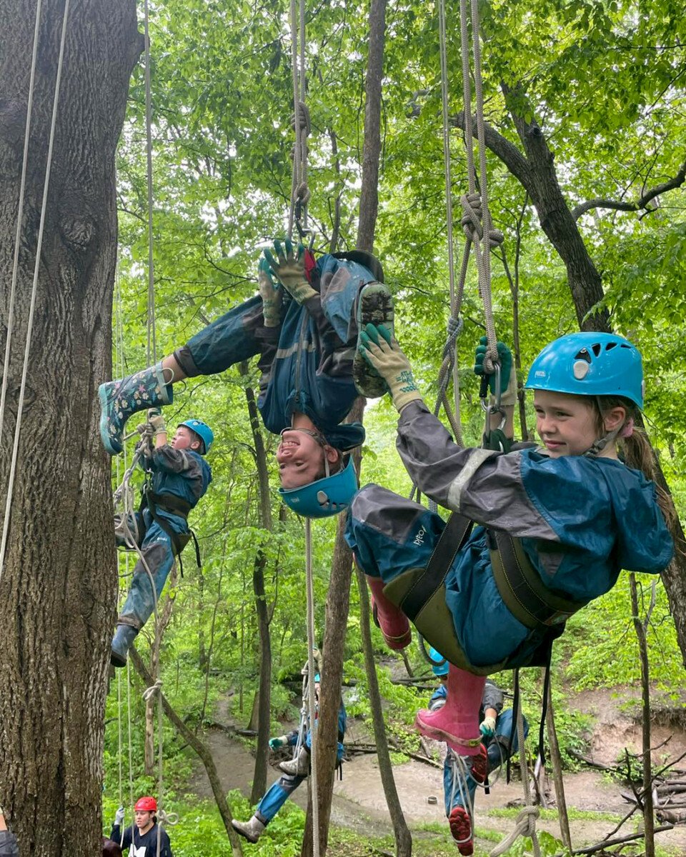 curso de cuerda colgando de los árboles