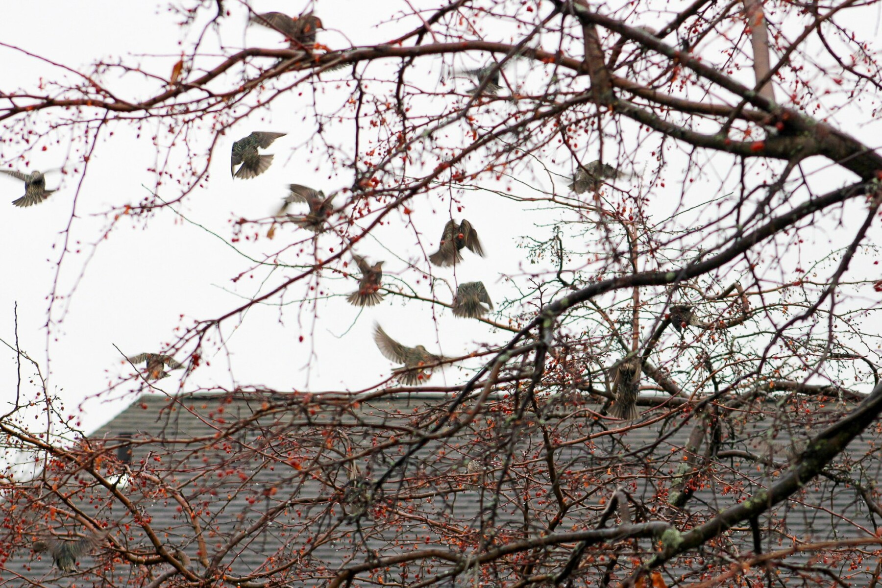 Students earn awards in 2025 Scholastic Art & Writing competition